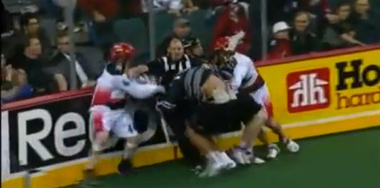 A Zebra Gets Caught in the Middle of a Lacrosse Fight
