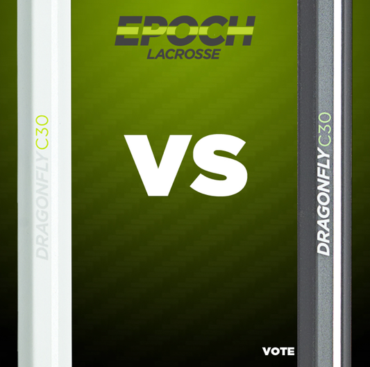 Win the First 2013 Dragonfly!