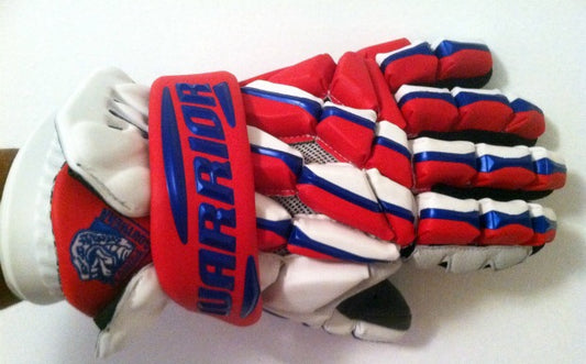 Florida Southern Warrior Regulator Gloves, TII Helmet