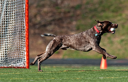 Game Photos: Hill Academy Edges Landon, 7-6