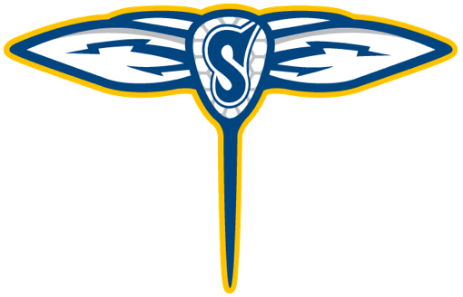 Minnesota Swarm Makes Maddie's Wish Come True