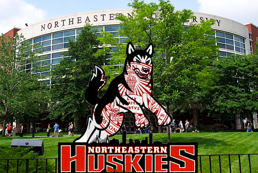 Northeastern Lacrosse Fall Ball Highlights