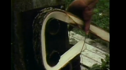 Onondaga: The Lacrosse Stick Makers (Video)