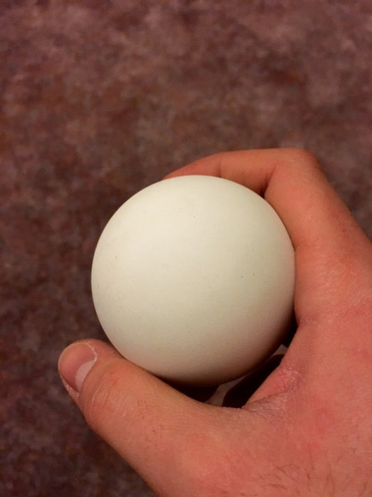 East Coast Dyes Mint Lacrosse Ball Review